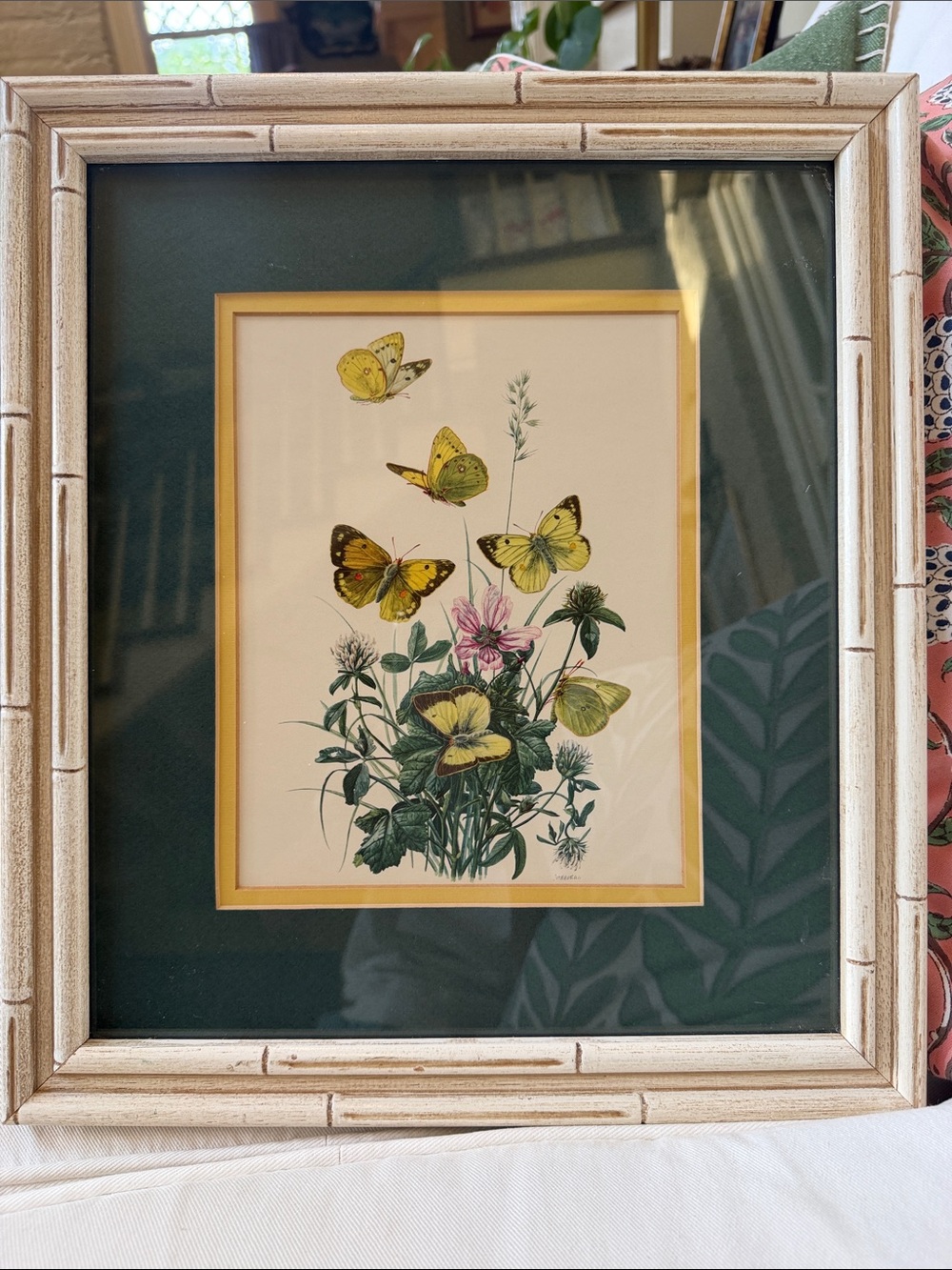 Vintage double matted butterfly print bamboo frame